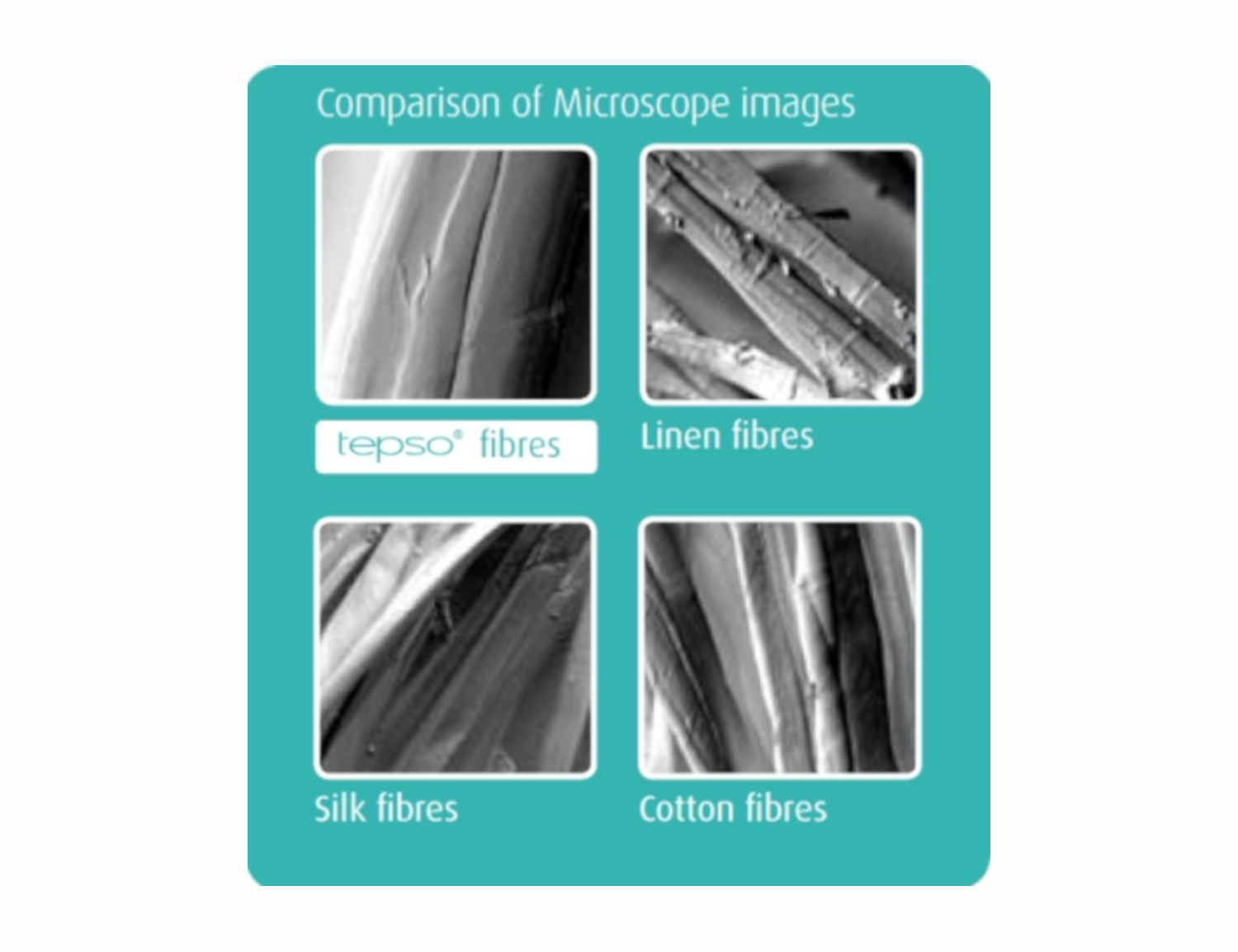Scanning Electron Microscope images of Tepso fibres compared with silk, cotton and linen fibres showing how smooth Tepso fibres are in comparison